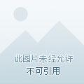 法师西恩 法师西恩