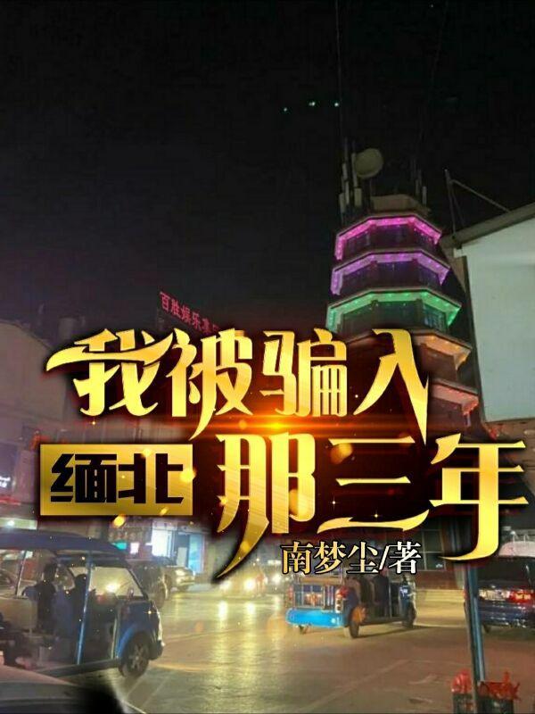 我被骗入缅北那三年 我被骗入缅北那三年