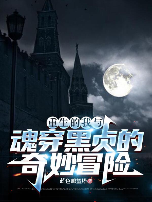 重生的我与魂穿黑贞的奇妙冒险 重生的我与魂穿黑贞的奇妙冒险