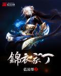 锦衣家丁 锦衣家丁