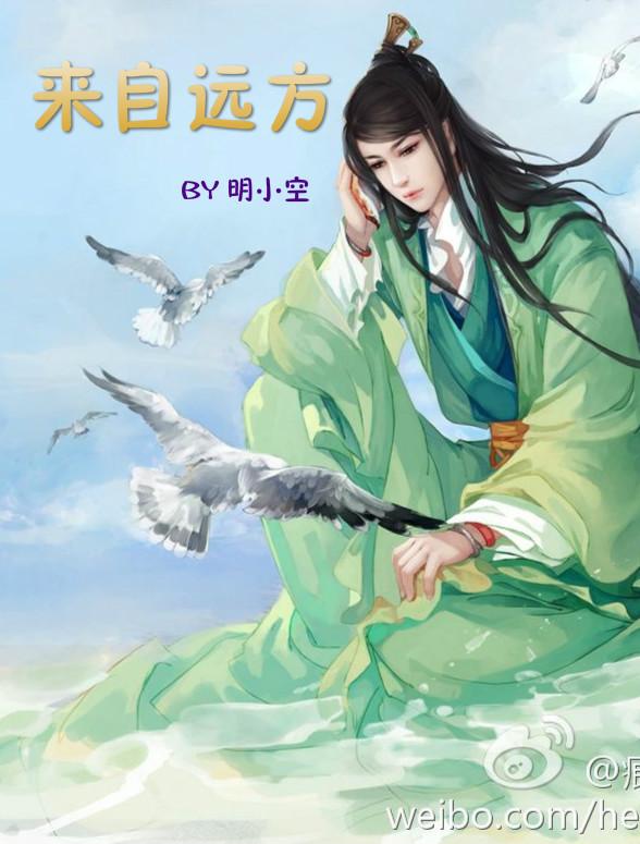 来自远方 来自远方