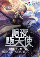 暗夜堕天使 暗夜堕天使