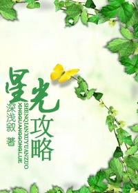 星光攻略 星光攻略
