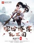 缤纷缭落乱三国 缤纷缭落乱三国