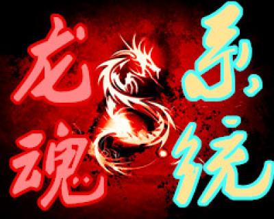 龙魂系统 龙魂系统