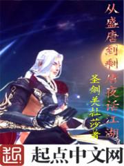 从盛唐到剩唐夜话江湖 从盛唐到剩唐夜话江湖