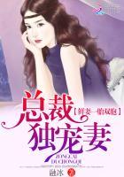 鲜妻一胎双胞:总裁独宠妻 鲜妻一胎双胞:总裁独宠妻