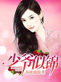 少爷似锦 少爷似锦