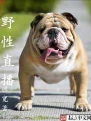 野性为王 野性为王
