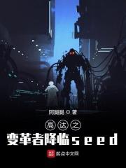 高达之变革者降临seed 高达之变革者降临seed
