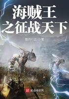 海贼王之征战天下 海贼王之征战天下