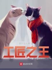 工匠之王 工匠之王